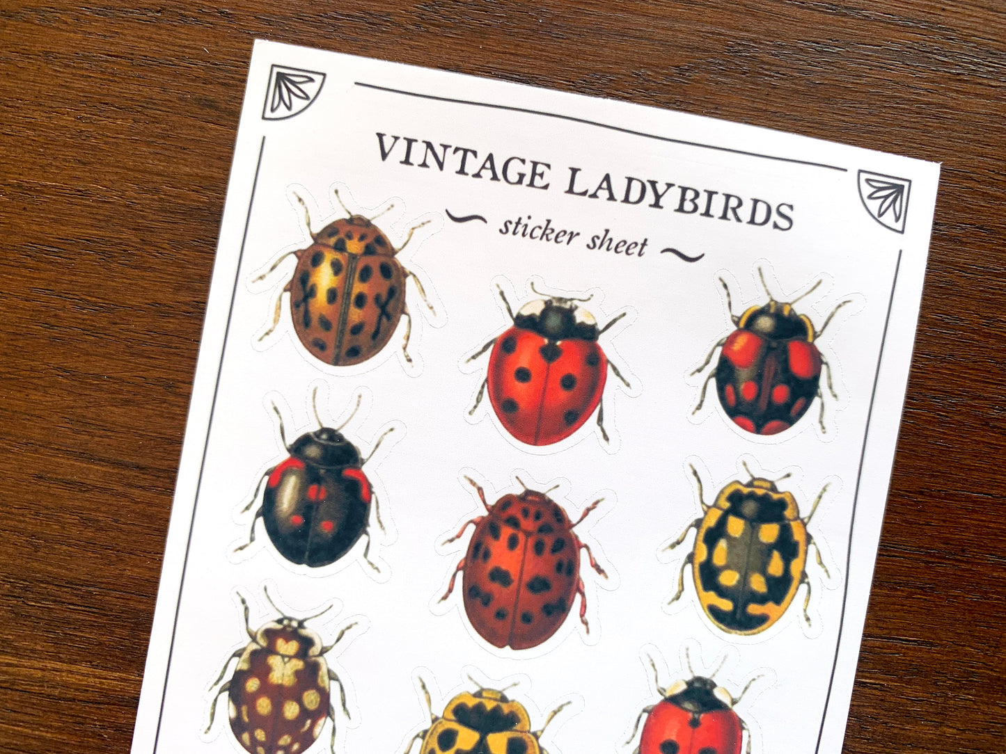 Vintage Ladybirds Sticker Sheet