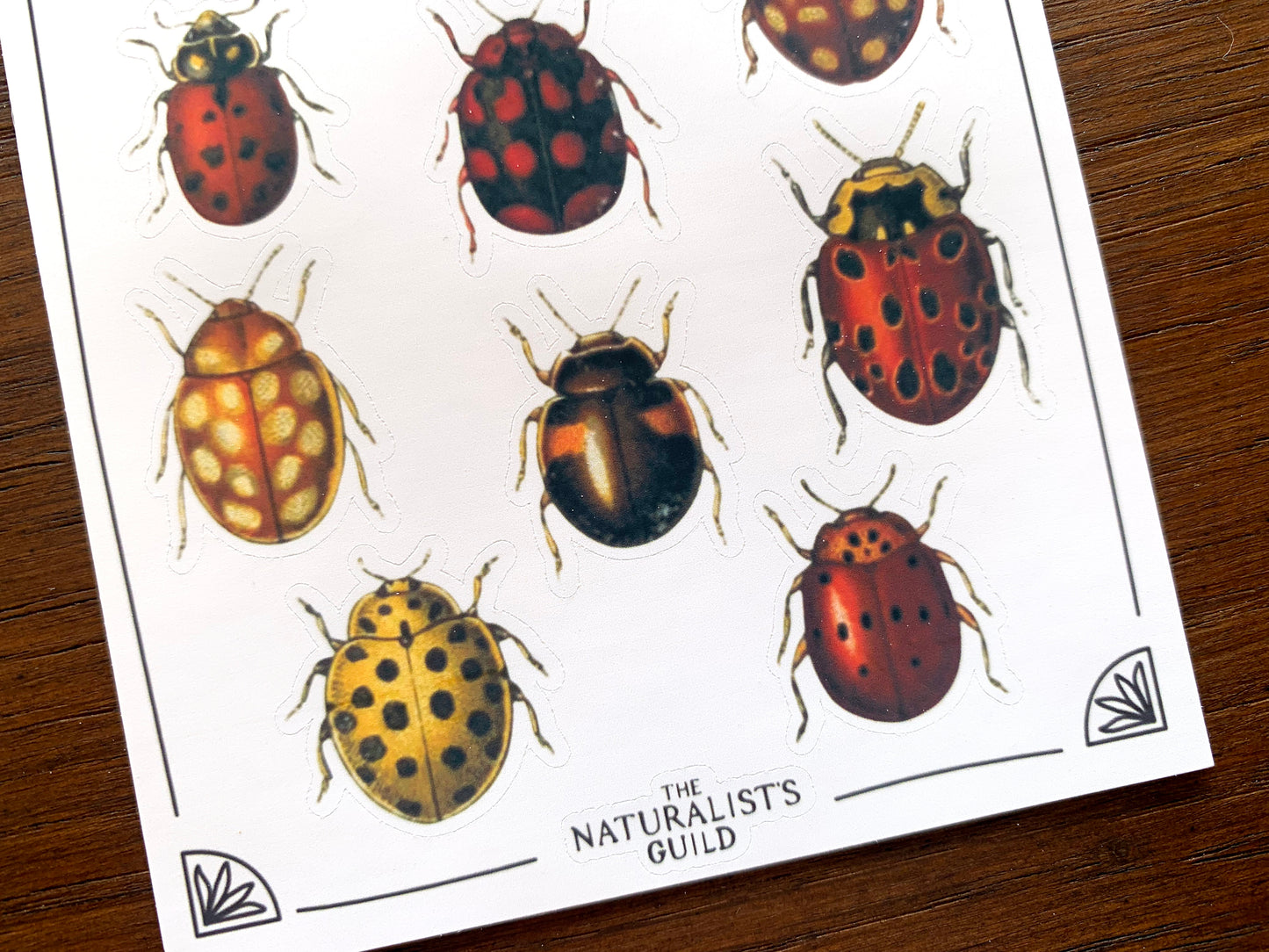 Vintage Ladybirds Sticker Sheet