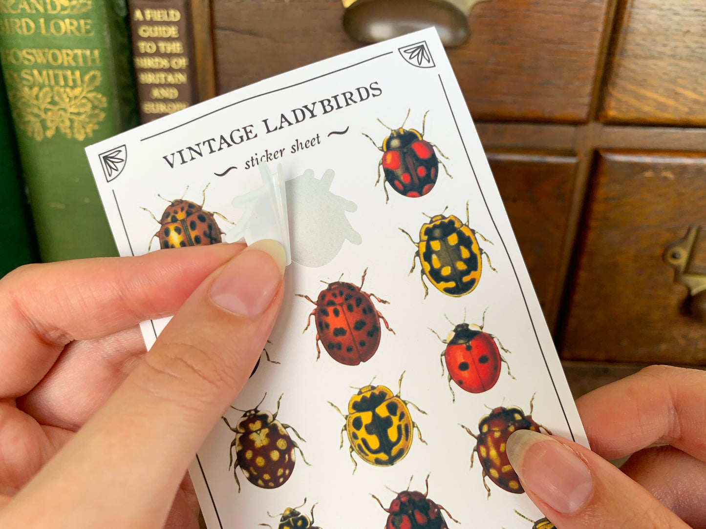 Vintage Ladybirds Sticker Sheet