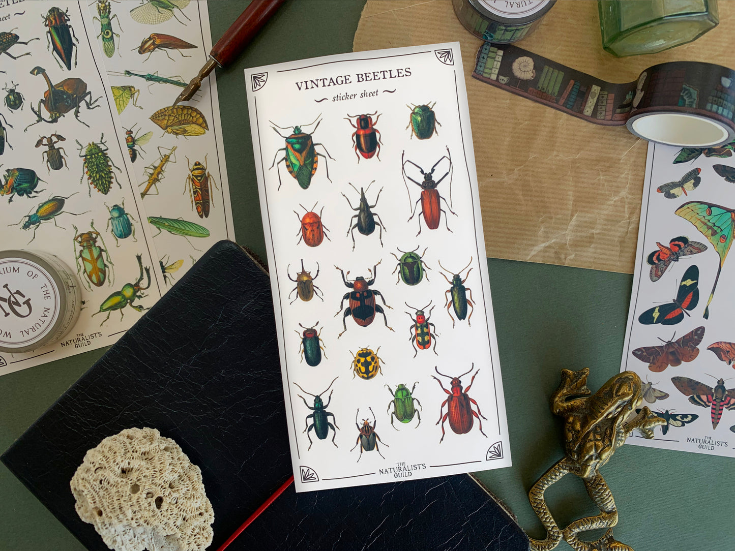 Sticker sheet of beetle species in a detailed and colourful vintage illustration style, with stationery in the background. The Naturalist's Guild.