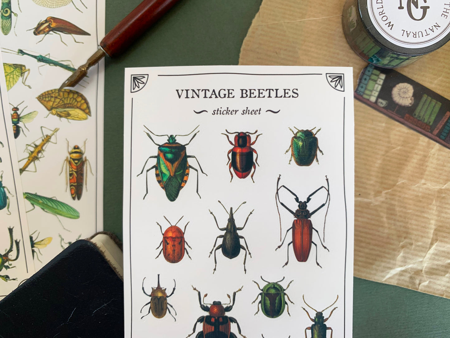 Close up of a sticker sheet of beetle species in a detailed and colourful vintage illustration style, with stationery in the background. The Naturalist's Guild.