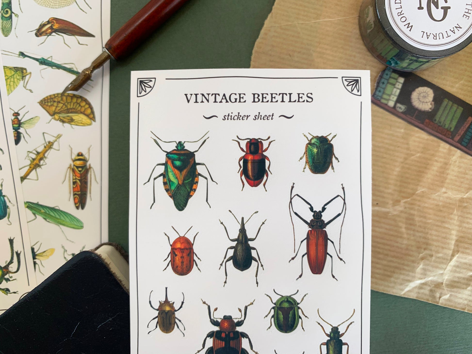 Close up of a sticker sheet of beetle species in a detailed and colourful vintage illustration style, with stationery in the background. The Naturalist's Guild.