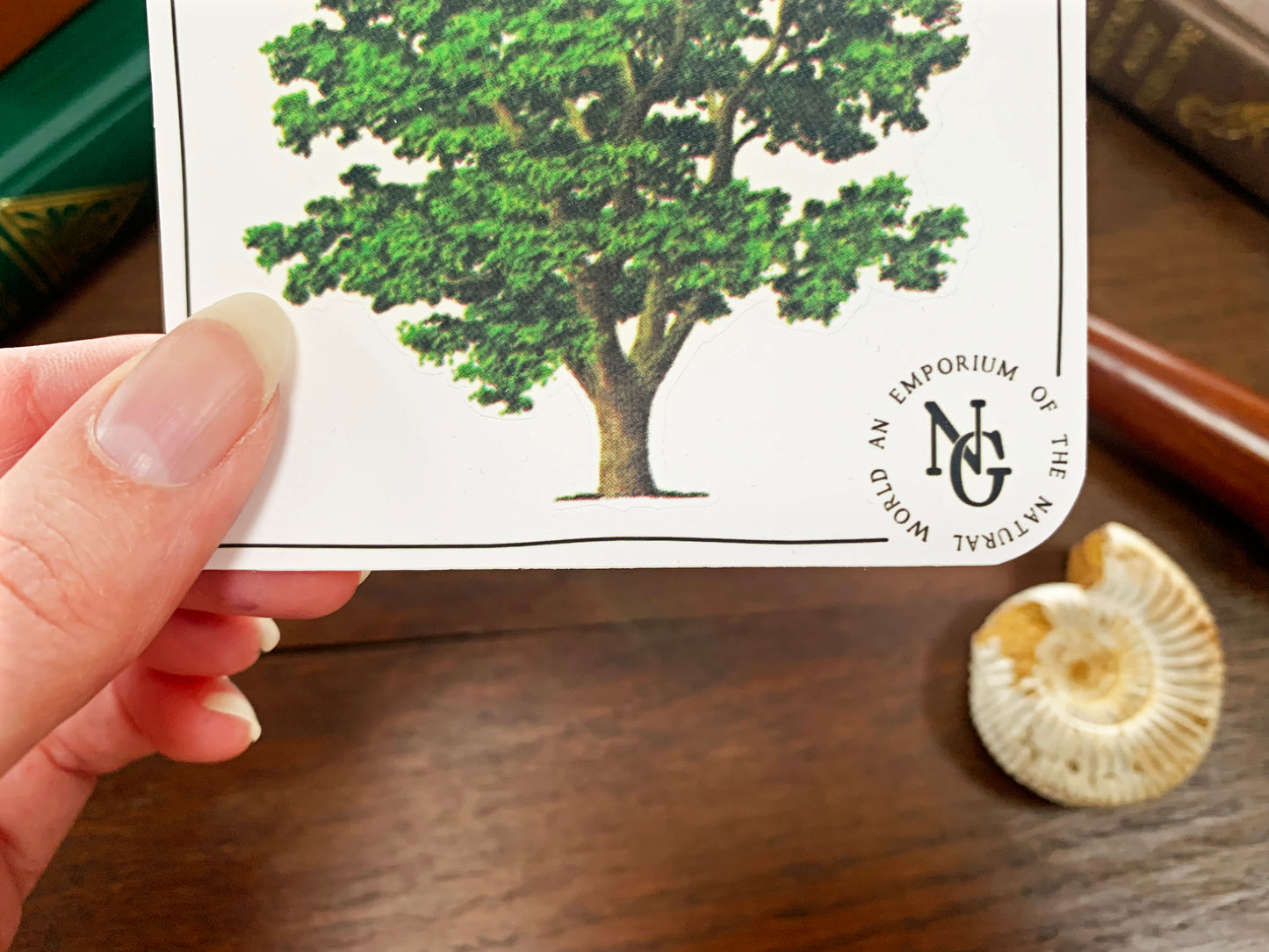 Walnut Tree Vintage Sticker