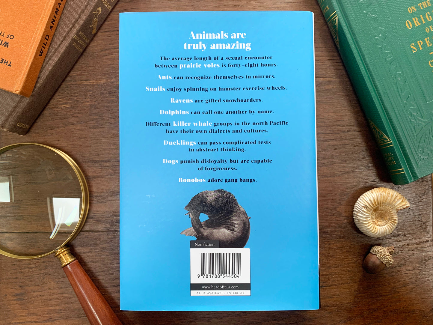 What Do Animals Think and Feel by Karsten Brensing
