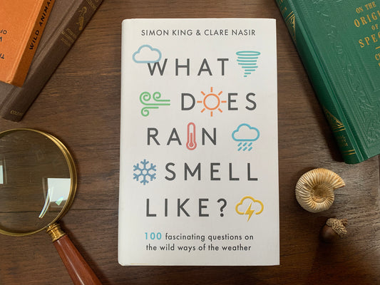 What Does Rain Smell Like by Simon King & Clare Nasir