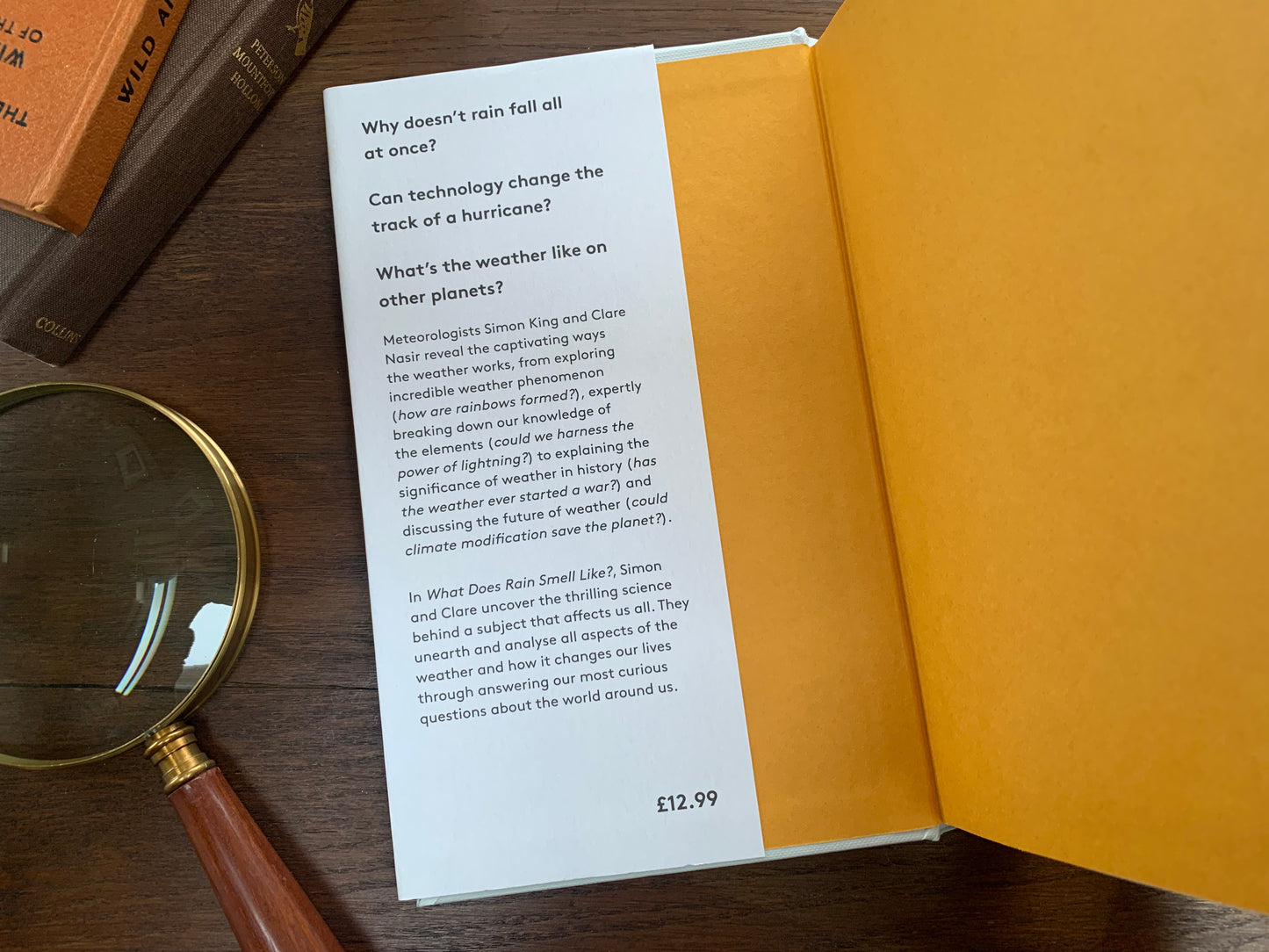 What Does Rain Smell Like by Simon King & Clare Nasir