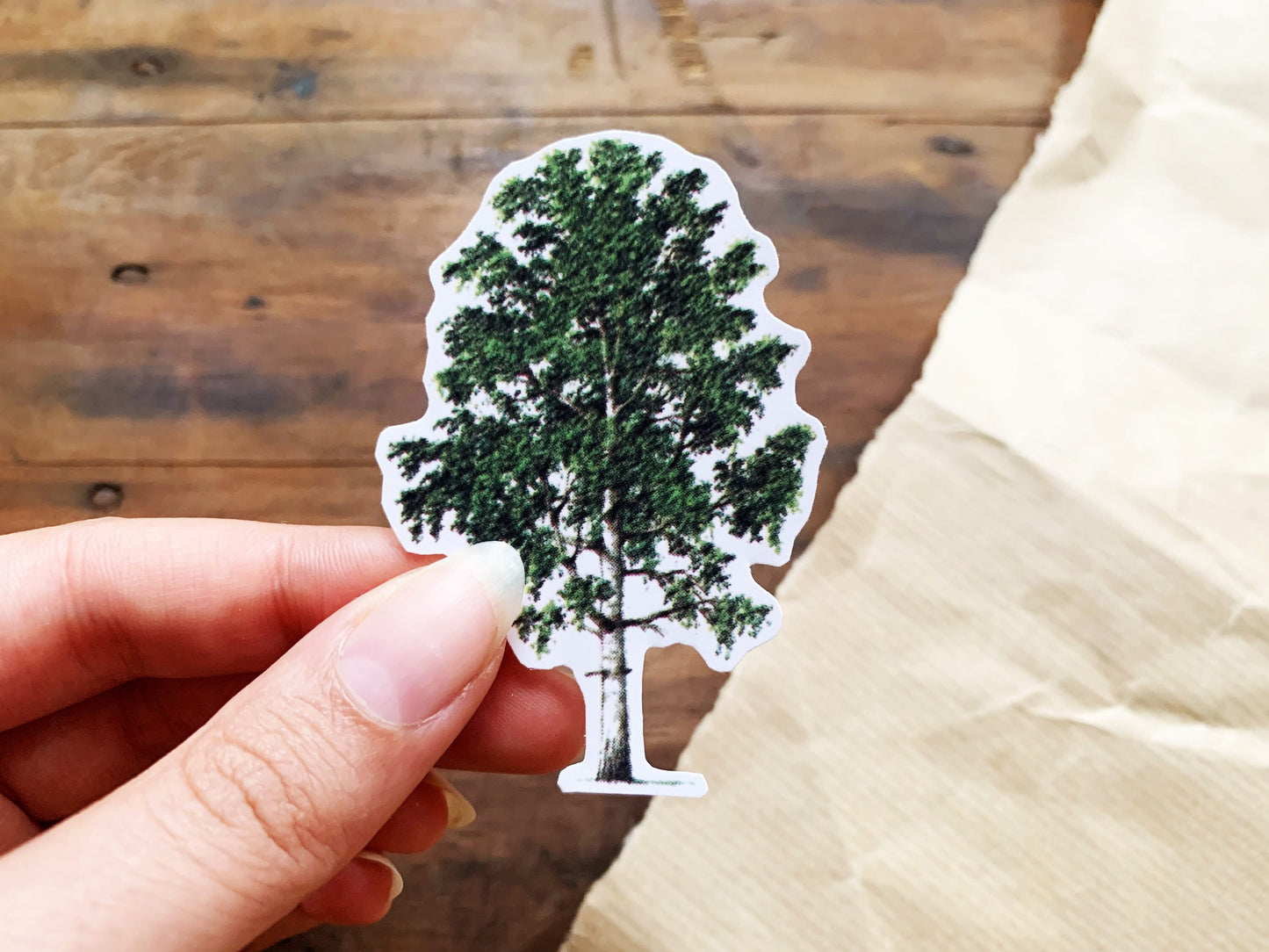 Vintage Silver Birch Tree Sticker, Retro Style Cute Tree Decal, Nature Bullet Journaling Sticker, Forest Lovers and Tree Huggers Small Gift