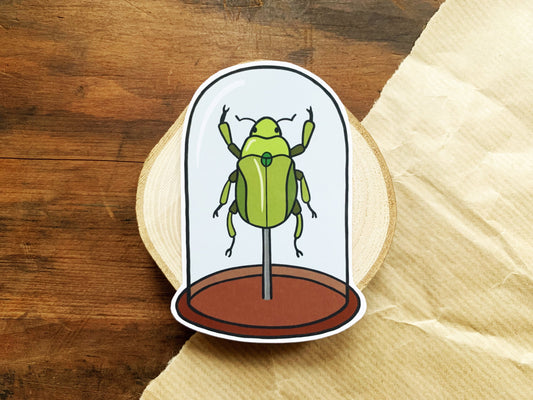 Green Beetle Bell Jar Sticker, Natural History Lovers Entomology Gift, Cute Insect in a Specimen Jar Laptop Sticker, Small Nature Lover Gift