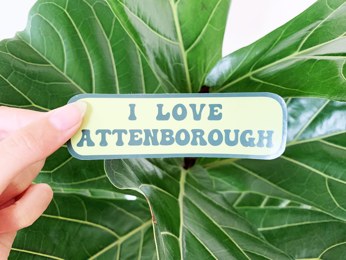 I Love Attenbrough Phone Sticker, David Attenborough and Nature Documentary Lovers, Natural History Themed Small Gift, Retro Style Sticker