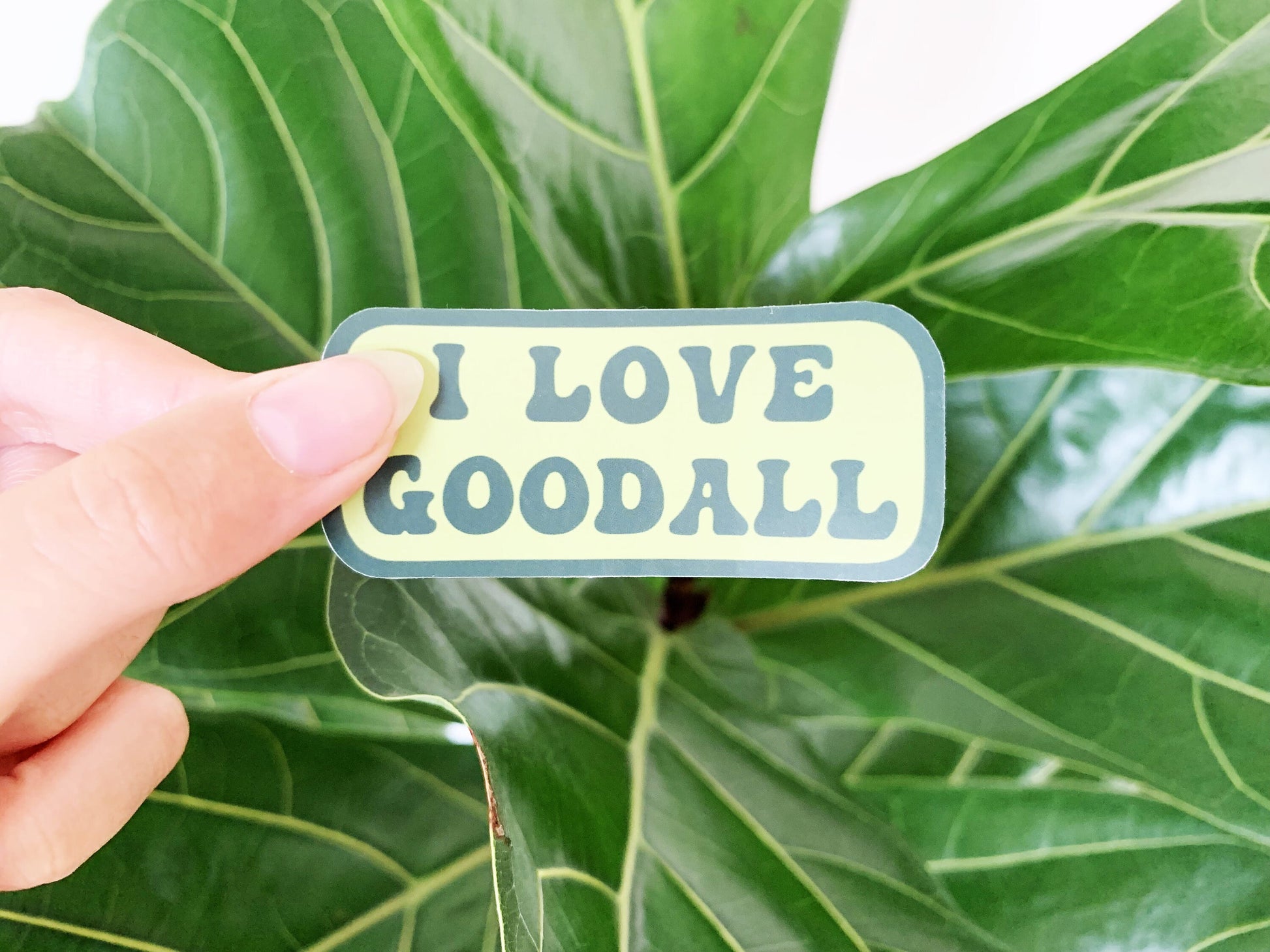 I Love Goodall Gloss Sticker, Jane Goodall Phone Decal for Conservationists, Small Primatology Stationery Gift for Primate and Monkey Lovers