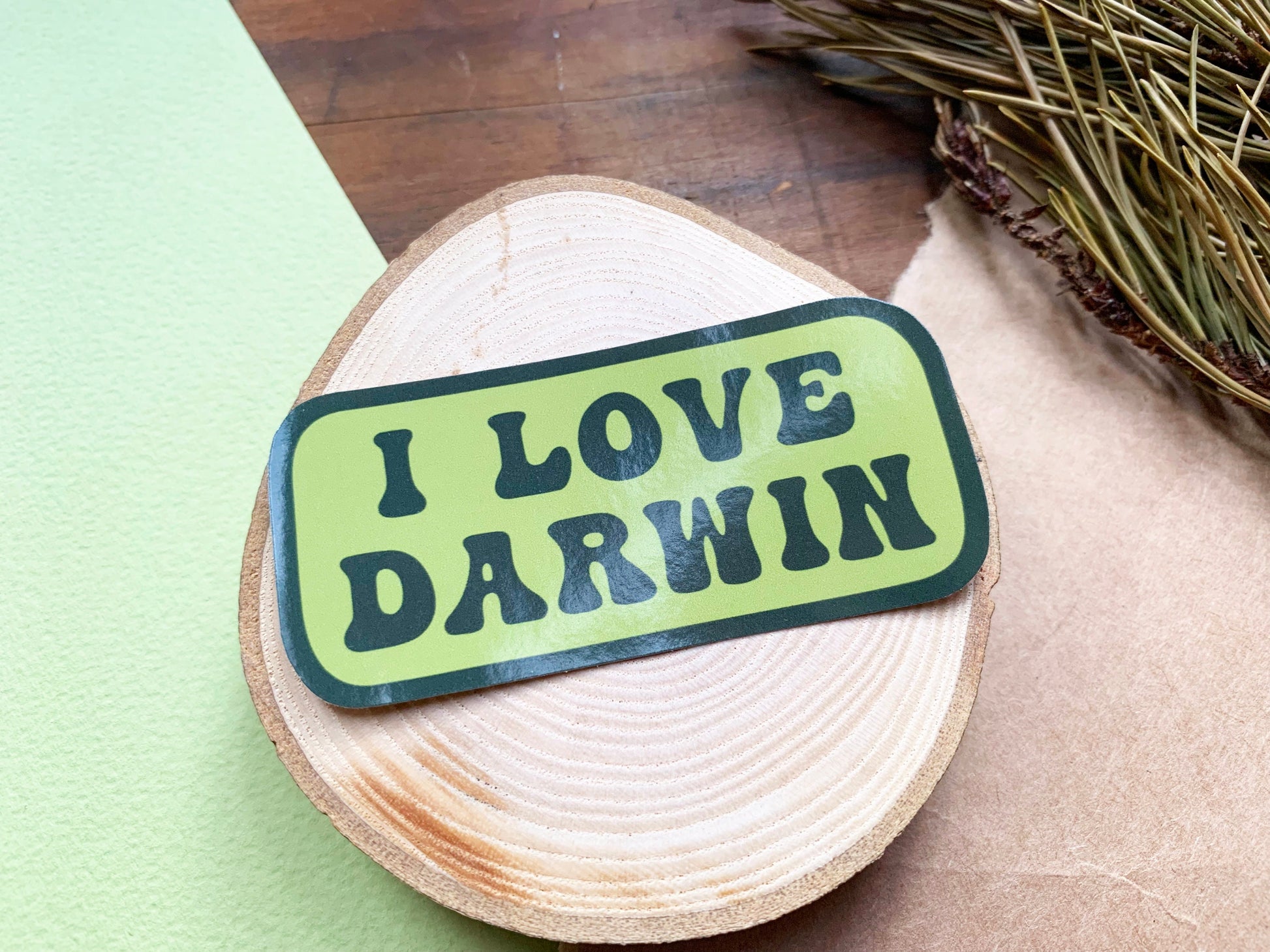 I Love Darwin Gloss Laptop Sticker, Natural History Themed Small Gift, Retro Style Natural Selection & Theory of Evolution Phone Sticker