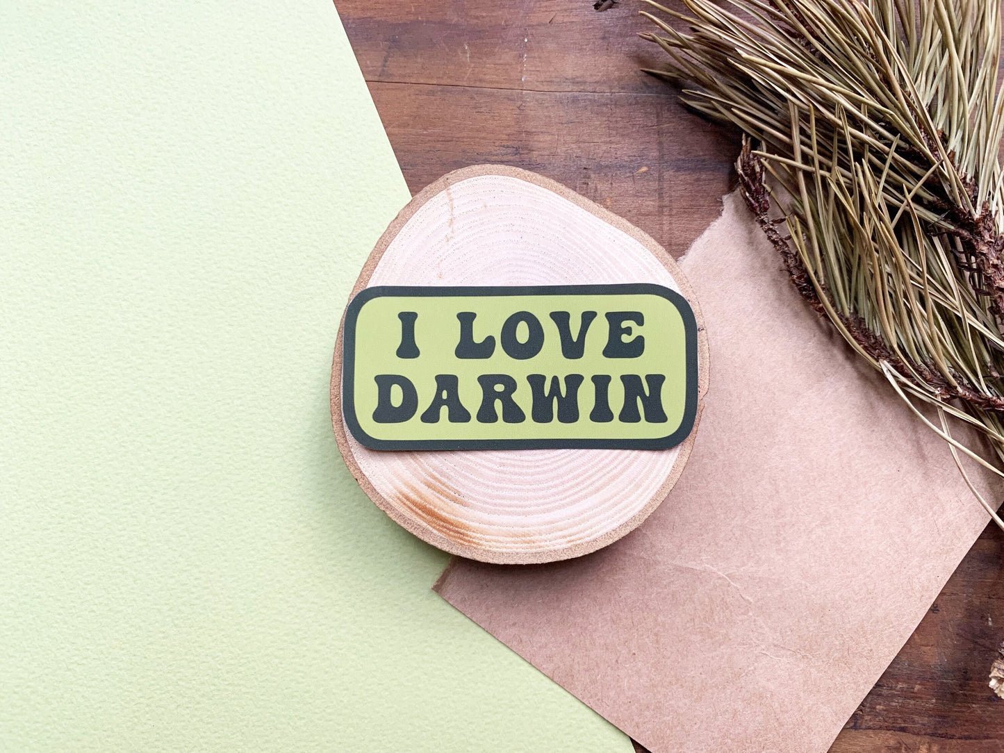 I Love Darwin Gloss Laptop Sticker, Natural History Themed Small Gift, Retro Style Natural Selection & Theory of Evolution Phone Sticker